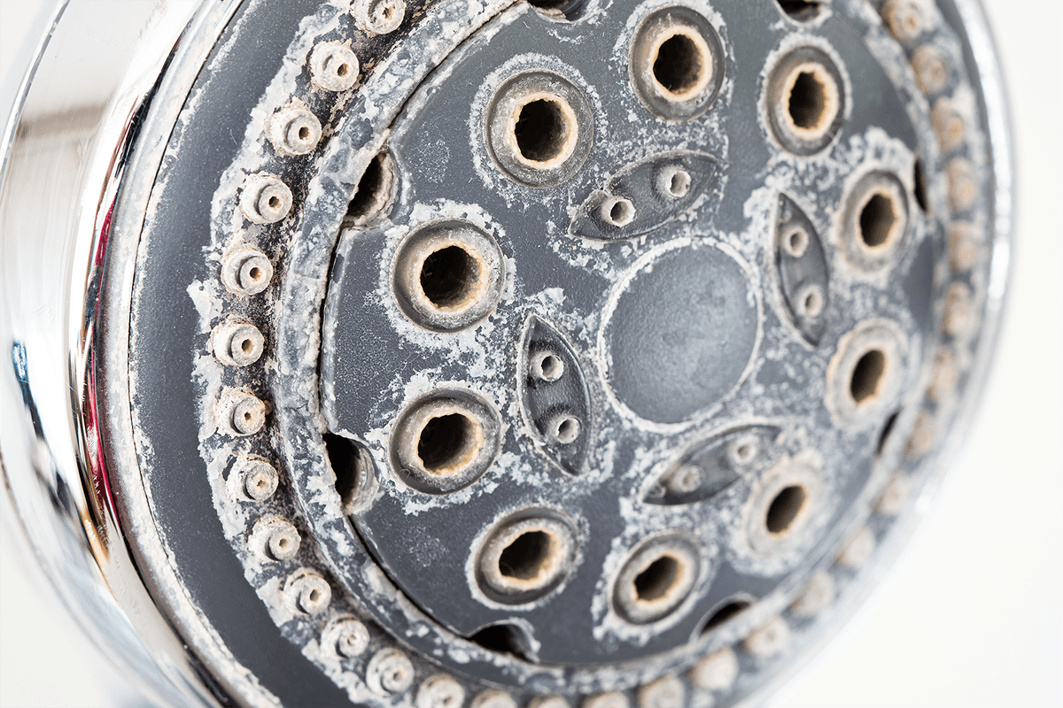A showerhead crusted with white hard-water mineral buildup